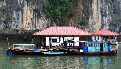 homes and water taxi, floating village, Ha Long Bay, Vietnam 