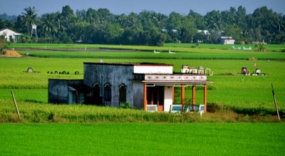 family farm and tombs, Mekong Delta, Vietnam 