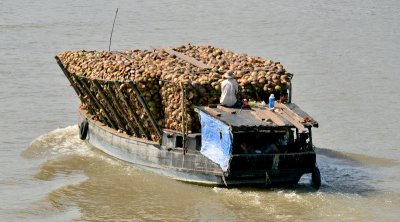 coconut barge, My Tho, Mekong River, Vietnam  