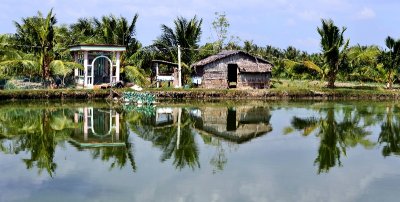 shrimp farm, Phu Long, Ben Tre, Vietnam 