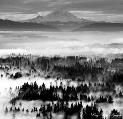 Issaquah plateau, Mount Rainier, Washington 
