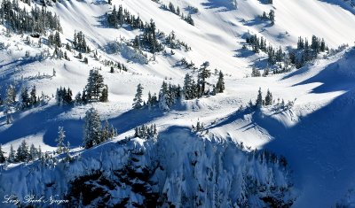 Huckleberry Mountain, Pacific Crest Trail, Cascade Mountains, Washington  