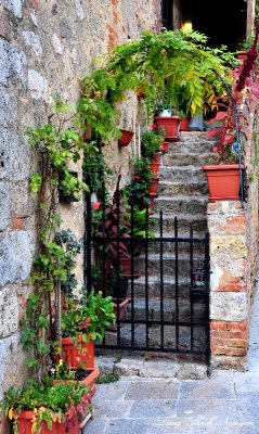 staircase garden, Monteriggioni, Tuscany, Italy 