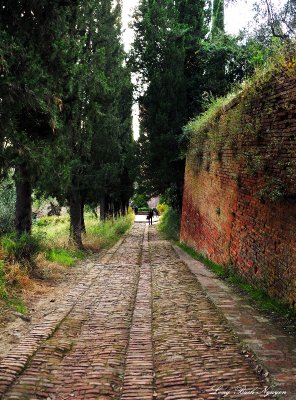 brick path, Abbey Monte Oliveto Maggiore, Asciano, Italy 