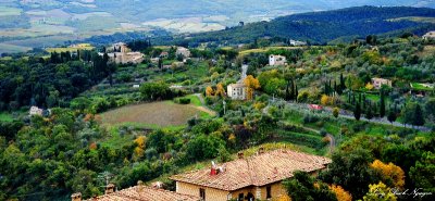 Road to Montalcino, Tuscany, Italy  