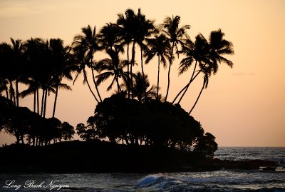 tropical location, Pauoa Bay, Big Island, Hawaii  