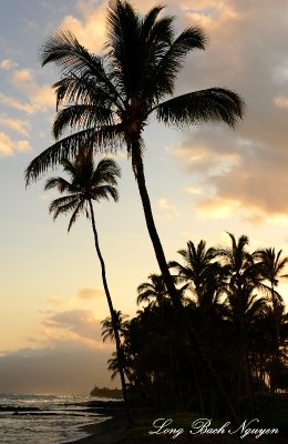 tropical paradise, Big Island, Hawaii  