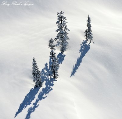 family of five, Cascade Mountains, Washington 