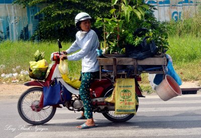 plants on scooter, district 7, Saigon, Vietnam  