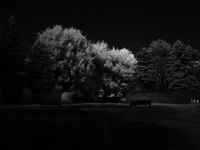 Moonlight Infrared