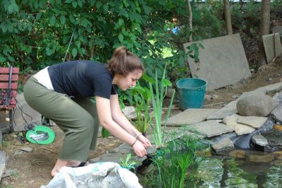 Adding Turtles