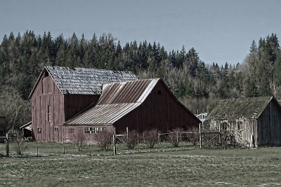 Red Barn 2