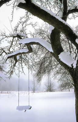 Snowy Swing