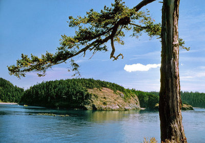Island