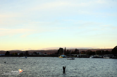 Launceston