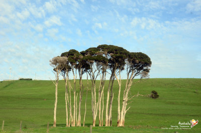 On the way, Tasmania