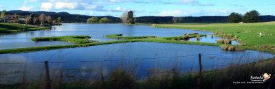 On the way, Tasmania