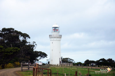 Wynyard