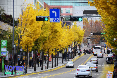 Korea in Autumn [Nov.2012]