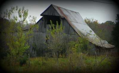 Barns