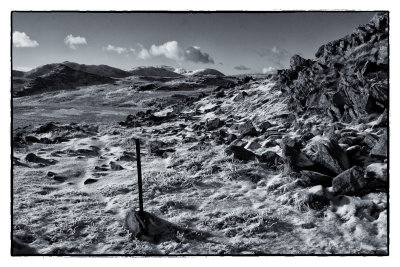 untitled-647-Edit-Edit.jpg
