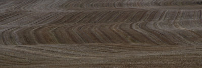December 2012-57.jpg