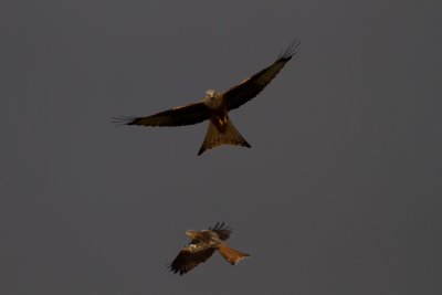 December 2012-63.jpg