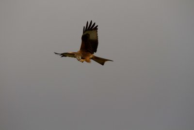 December 2012-65.jpg