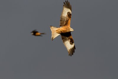 December 2012-66.jpg