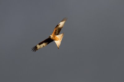 December 2012-67.jpg