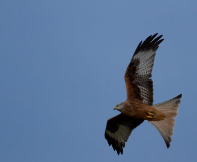 December 2012-77.jpg