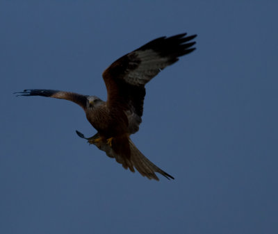 December 2012-78.jpg