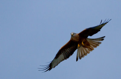 December 2012-79.jpg