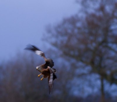 December 2012-80.jpg