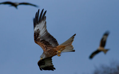 December 2012-81.jpg