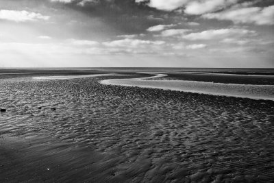 IMG_2952-Edit.jpg