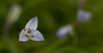 IMG_3441.jpg