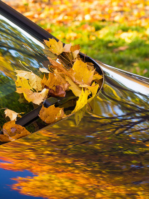 4th place-Back at the car park after a walk in October by Gerald H.