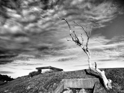 Still Standing