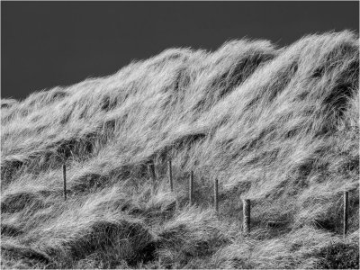 5th Grass Pattern, Co Clare, Ireland by Michael Kilpatrick