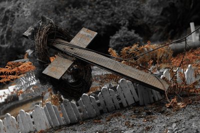 Ferndale Cemetery 