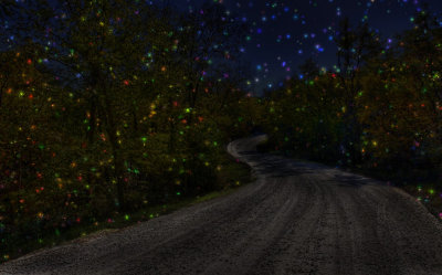 Joint 5th: The Night Comes To Life - By Paul