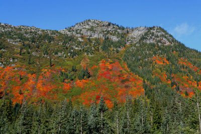Mountain's Glory