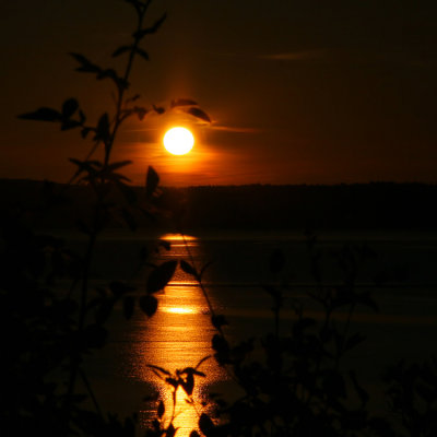 Setting Summer Sun