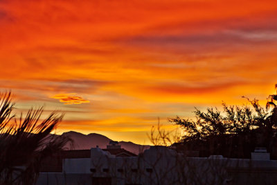 Desert Dawn