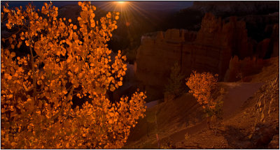 Autumn Sunrise