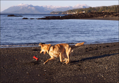 Fifth Place  - A Rare Sunny Day in SE Alaska - by mlynn