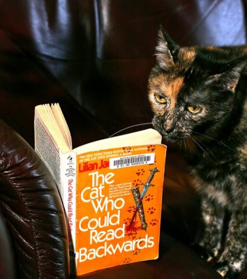 Happiness is a Good Book