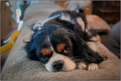 At Rest
