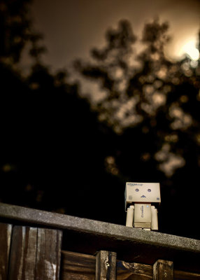 Danboard & The Moon